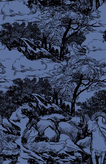 1503626-888822063007