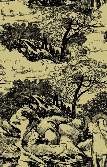 1503627-888822063007[2]