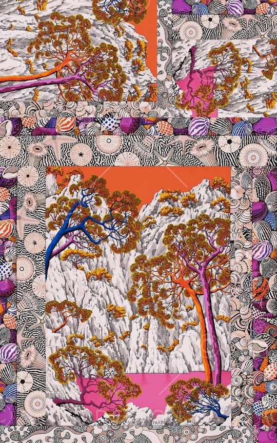 大牌风印花华亿平台图片