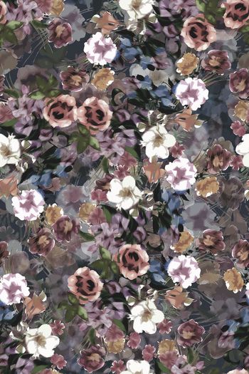 1503743-花卉20142-3