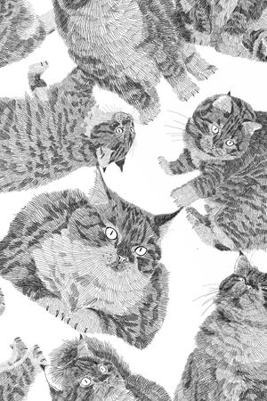 线条印花华亿平台图片