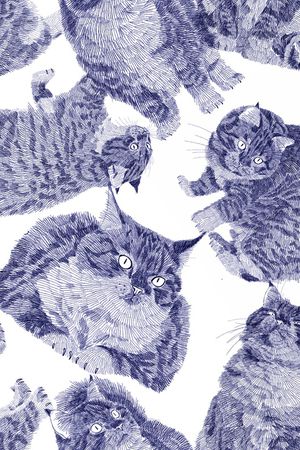 线条印花华亿平台图片