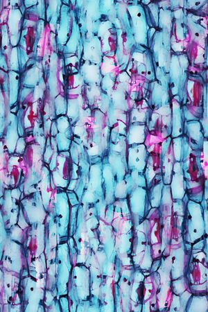 肌理印花华亿平台图片