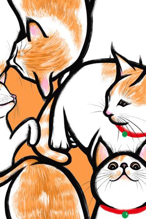 趣味印花华亿平台图片