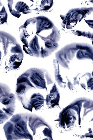 趣味印花华亿平台图片