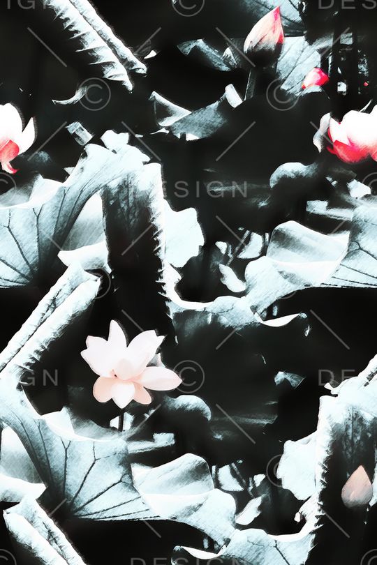 荷花印花华亿平台图片