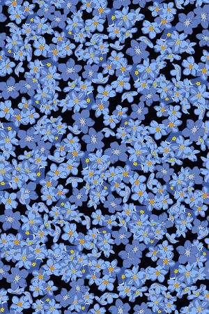 女装印花华亿平台图片