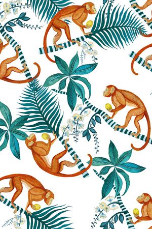 企鹅印花华亿平台图片