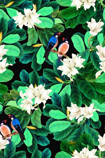 1504441-中国风50-1