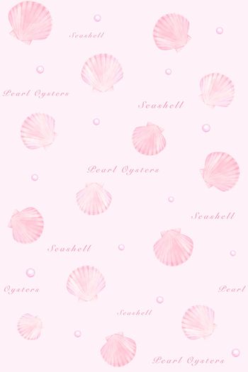 1504647-粉色珍珠贝