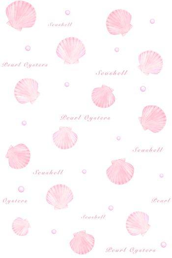 1504648-粉色珍珠贝2