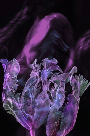 香云纱印花华亿平台图片