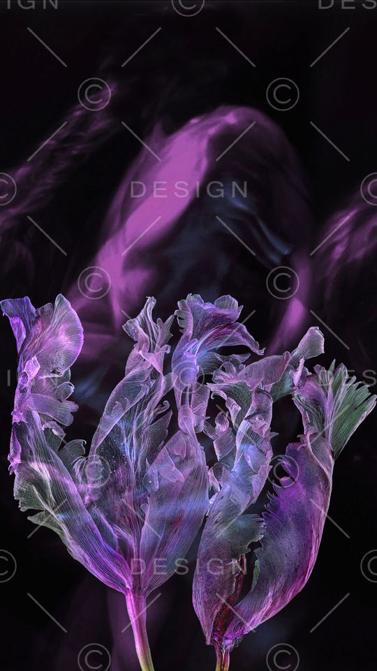 香云纱印花华亿平台图片