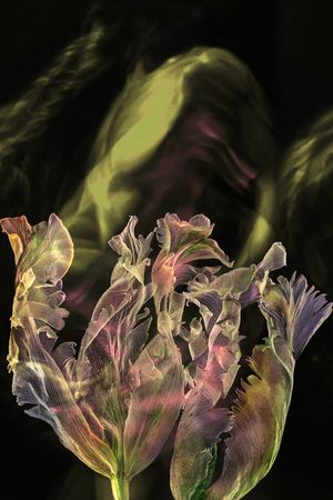 香云纱印花华亿平台图片