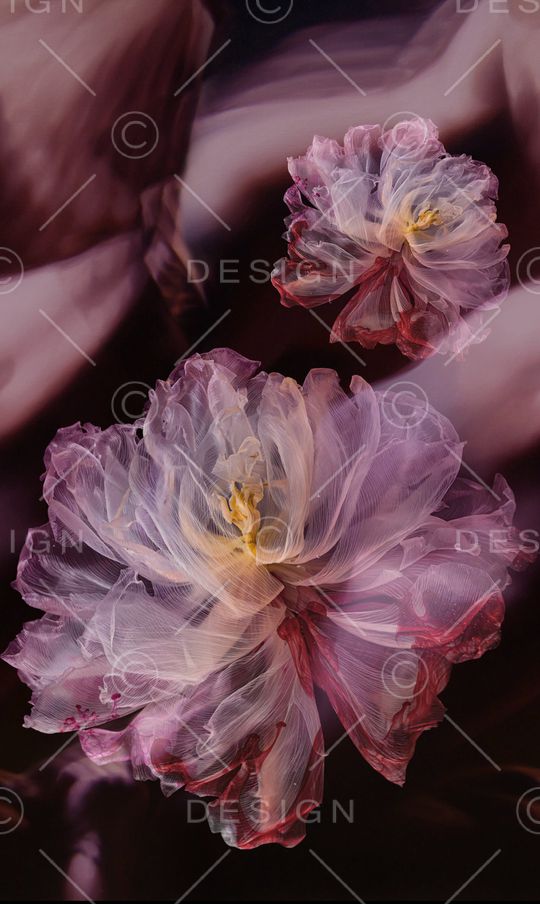 香云纱印花华亿平台图片