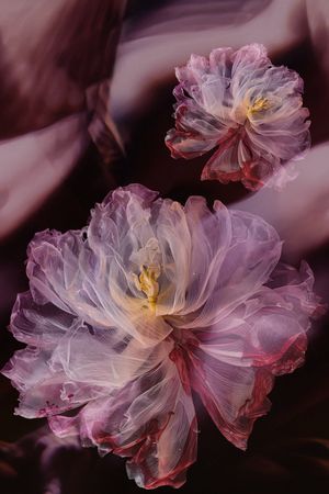 香云纱印花华亿平台图片