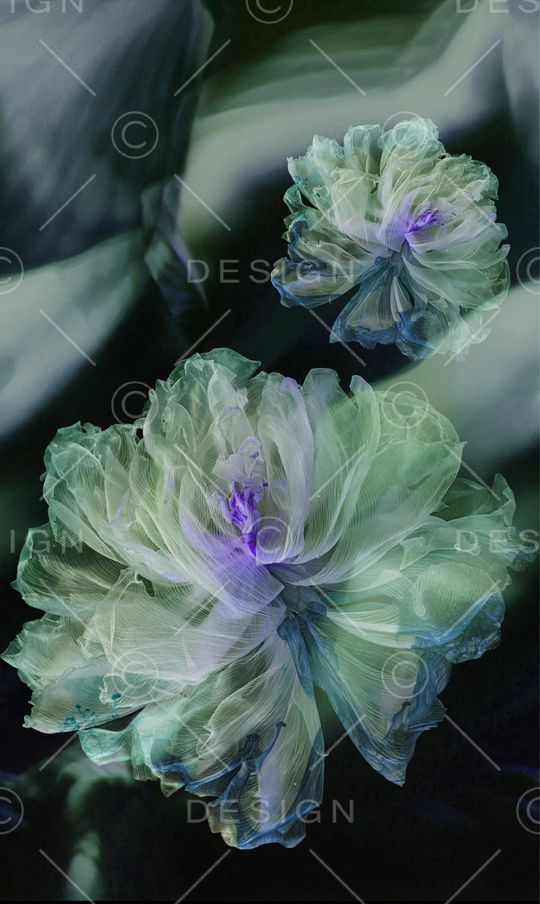 香云纱印花华亿平台图片