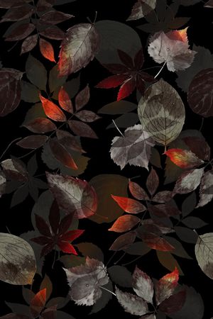 黑底花卉印花华亿平台图片