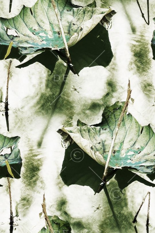 配饰印花华亿平台图片