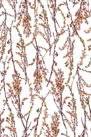 年轻女性印花华亿平台图片