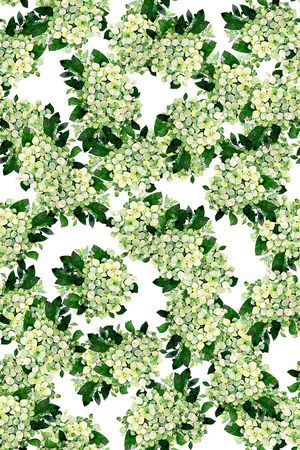 小清新印花华亿平台图片