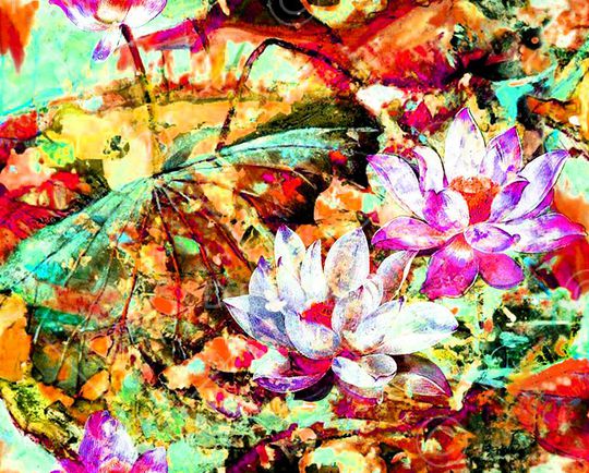 荷花印花华亿平台图片