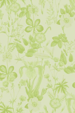 真丝印花华亿平台图片