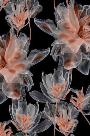 郁金香印花华亿平台图片