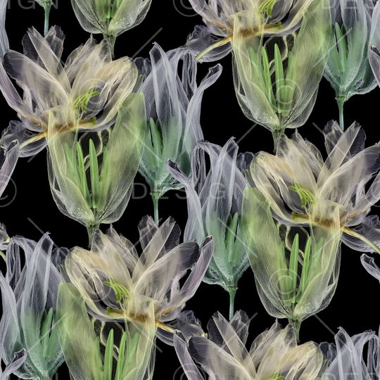 郁金香印花华亿平台图片