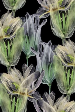 郁金香印花华亿平台图片