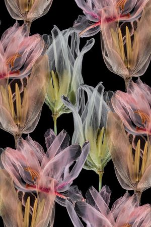 郁金香印花华亿平台图片