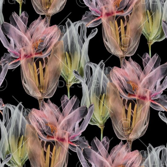 郁金香印花华亿平台图片