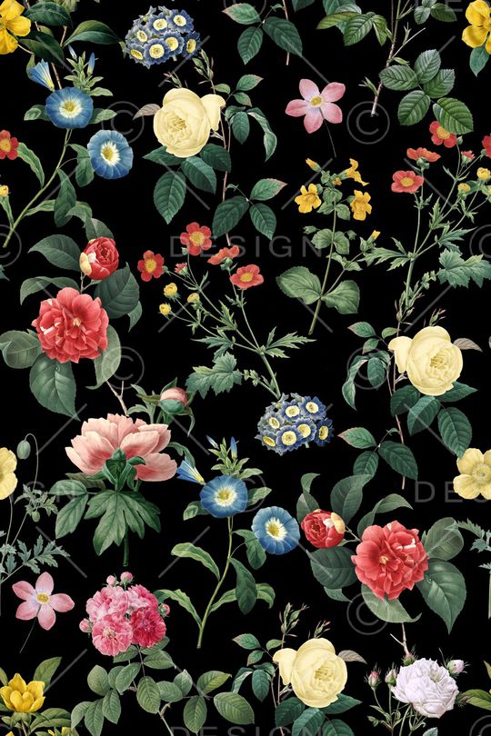 黑底花卉印花华亿平台图片