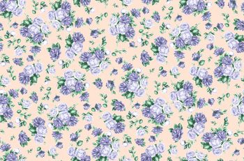 1505955-2E9109BD-F430-42