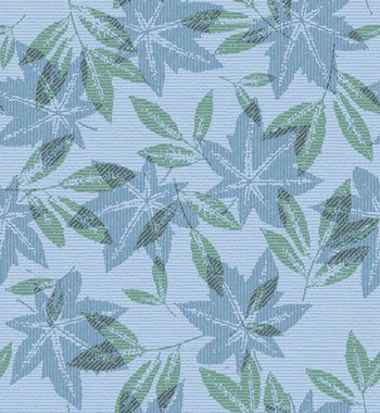 1505978-98A98F3A-BFFD-46