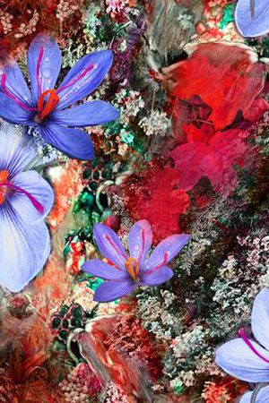 花朵印花华亿平台图片