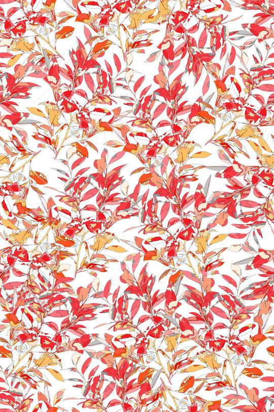 女装印花华亿平台图片