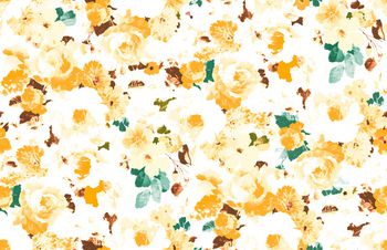 1506116-84ABCF67-FCBD-46