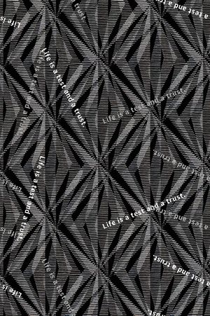 字母印花华亿平台图片