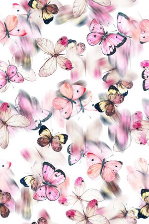 小清新印花华亿平台图片