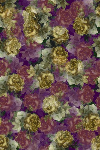 1506317-花卉20145-3