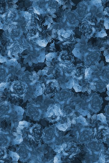 1506318-花卉20145-4