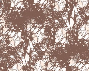 1506389-AF99D49B-0637-4E