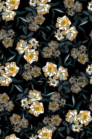 女装印花华亿平台图片