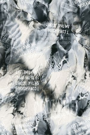 字母印花华亿平台图片