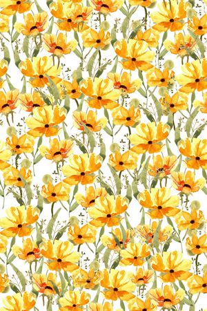 女装印花华亿平台图片