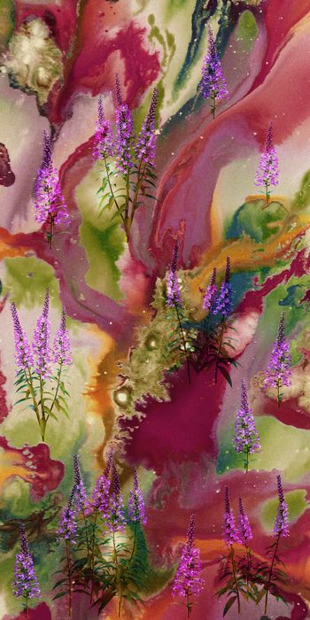 1507225-20215075107-1