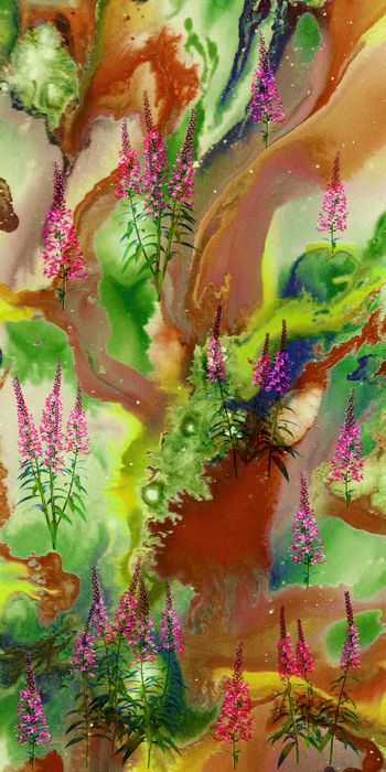 1507226-20215075107-2