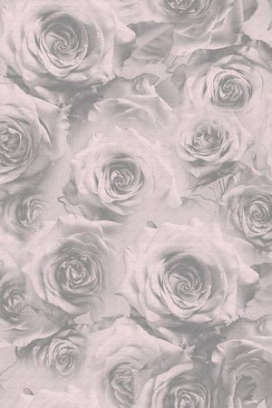 玫瑰花印花华亿平台图片