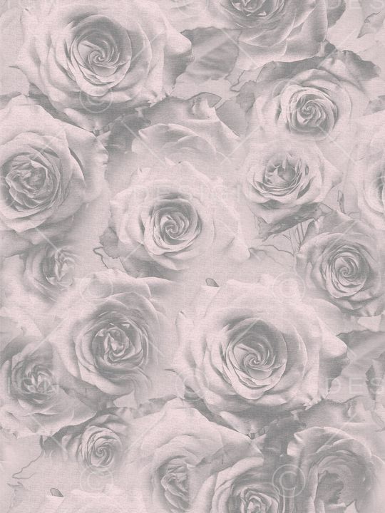 玫瑰花印花华亿平台图片